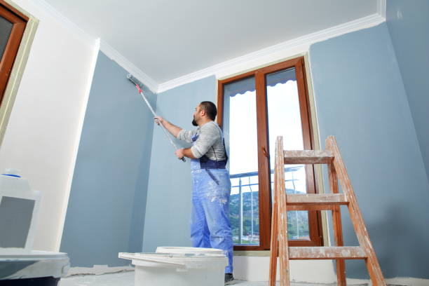 Best Cabinet Painting and Refinishing  in Meadow Vista, CA